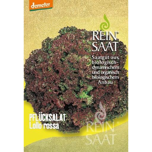 ReinSaat Salat 