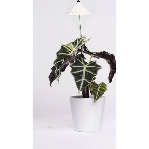 Venso SUNLiTE Pflanzenlampe 7W - Weiß