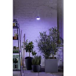 Venso Lampe pour Plante E27 