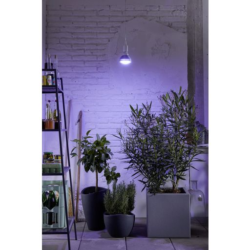 Venso E27 Pflanzenlampe 