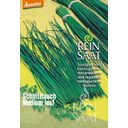 ReinSaat Cebollino - Medium Leaf - 1 paq.