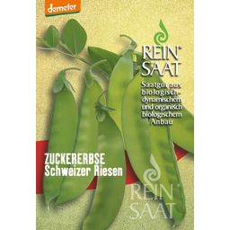 ReinSaat Groch cukrowy "Schweizer Riesen"