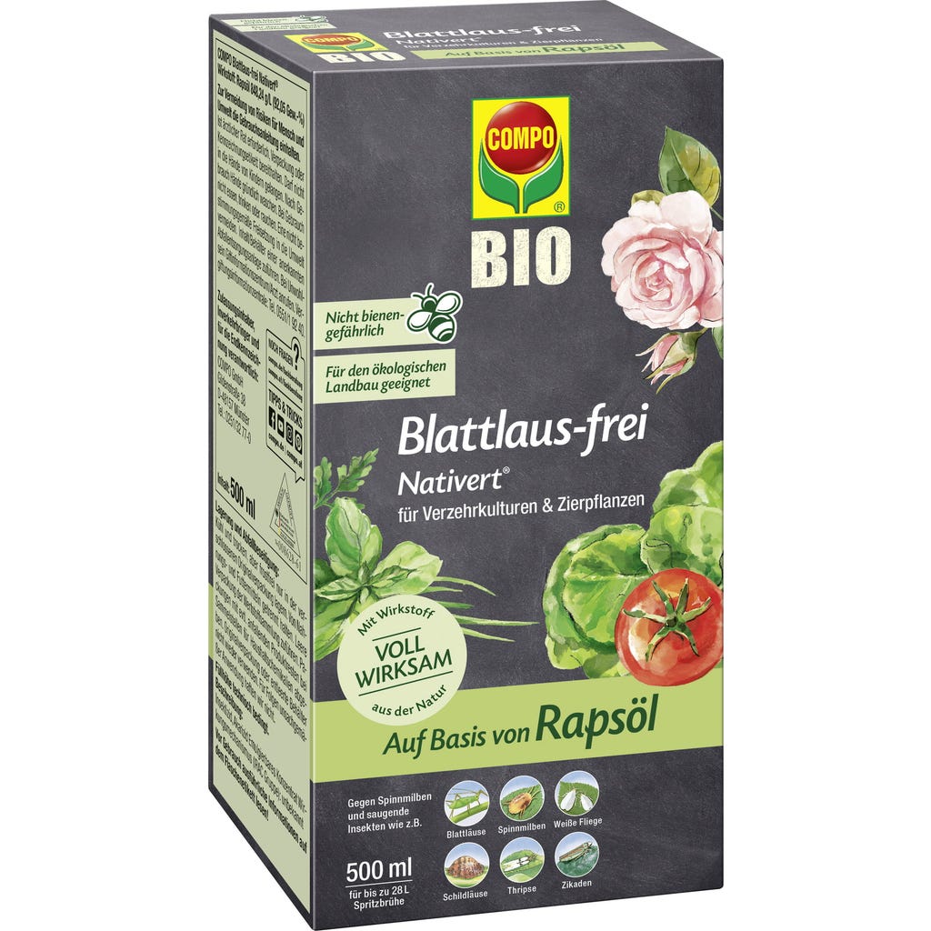 wassermelone saatgut Wassermelone Crimson Sweet – samenfeste Sorte