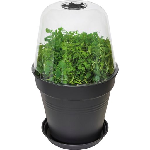 elho green basics Grow Pot Cover, Round