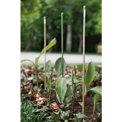 Windhager Steel Plant Stake - Set of 10 - Green