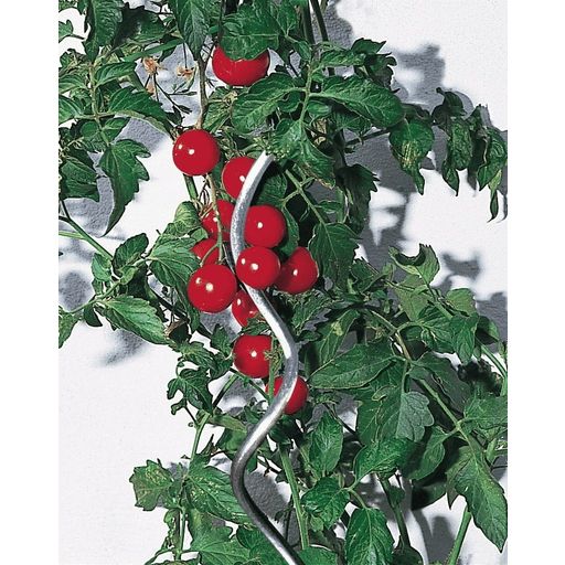 Tuteurs Spirale pour Tomates 150 cm | Acier Galvanisé - Lot de 10 - 1 kit