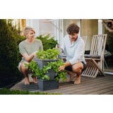 GUSTA GARDEN PAUL POTATO Starter - 3 Andares