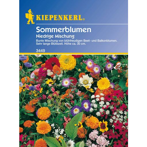 Kiepenkerl Low Growing Summer Flowers Mix