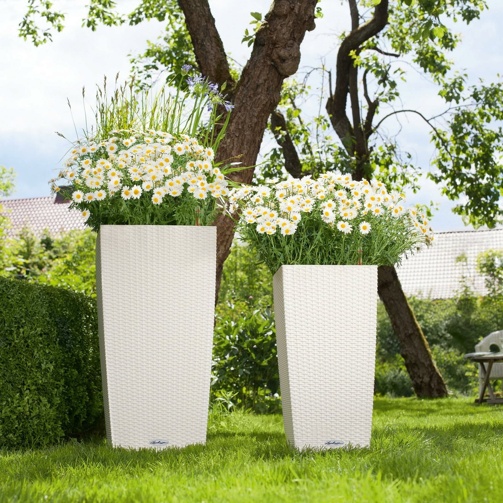 Lechuza CUBICO Cottage 40 Planter