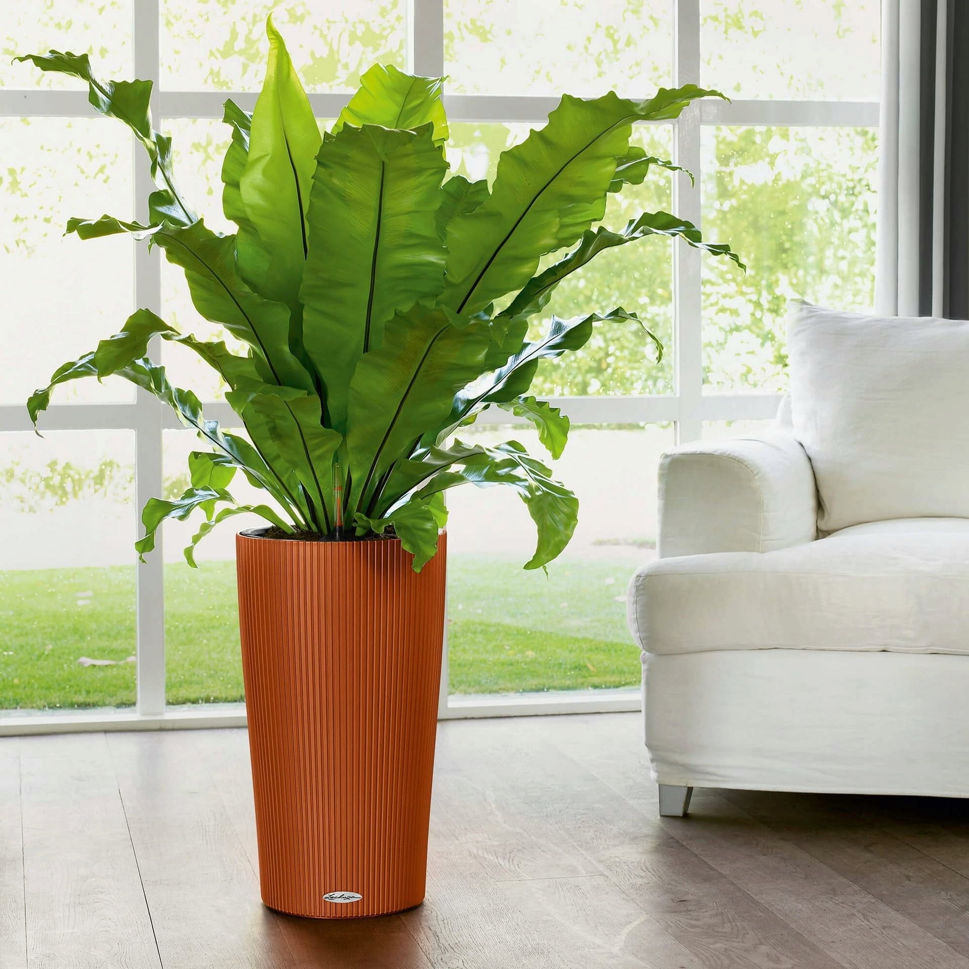 Lechuza Jardinière CILINDRO Color 23