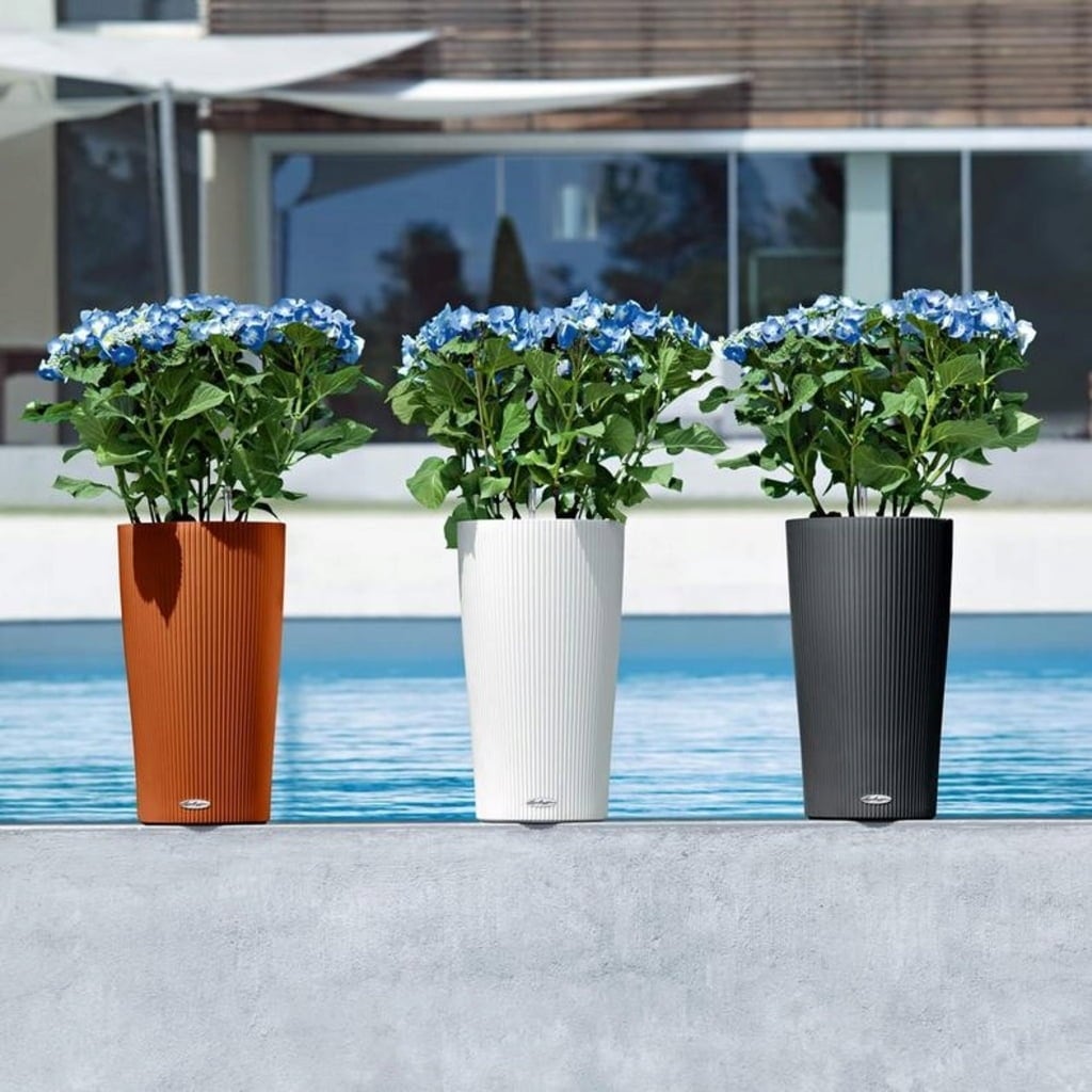 Lechuza Jardinière CILINDRO Color 23