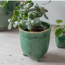 Garden Trading Positano Flower Pot 