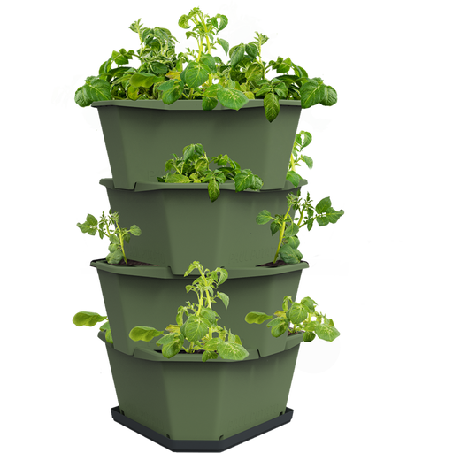 Gusta Garden Paul Potato Starter - 4 Etagen - grün