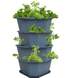 GUSTA GARDEN PAUL POTATO Starter - 4 Etagen - blau