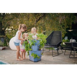 GUSTA GARDEN PAUL POTATO Starter - 4 Etagen - blau