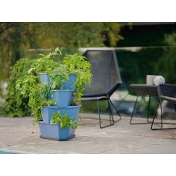 GUSTA GARDEN PAUL POTATO Starter - 4 Etagen - blau