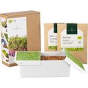 Heimgart Kit de Démarrage Microgreens - 1 pcs
