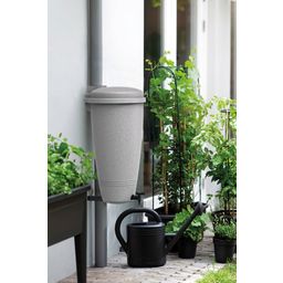 elho Green Basics Rain Catcher 35 litres - Living Concrete