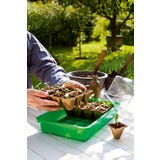 Estufa de germina&ccedil;&atilde;o M PLUS POTS incl. 24 vasos de germina&ccedil;&atilde;o em tira