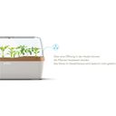 BoQube Mini Invernadero / Jardinera L - Crema y Cobre - 1 pieza