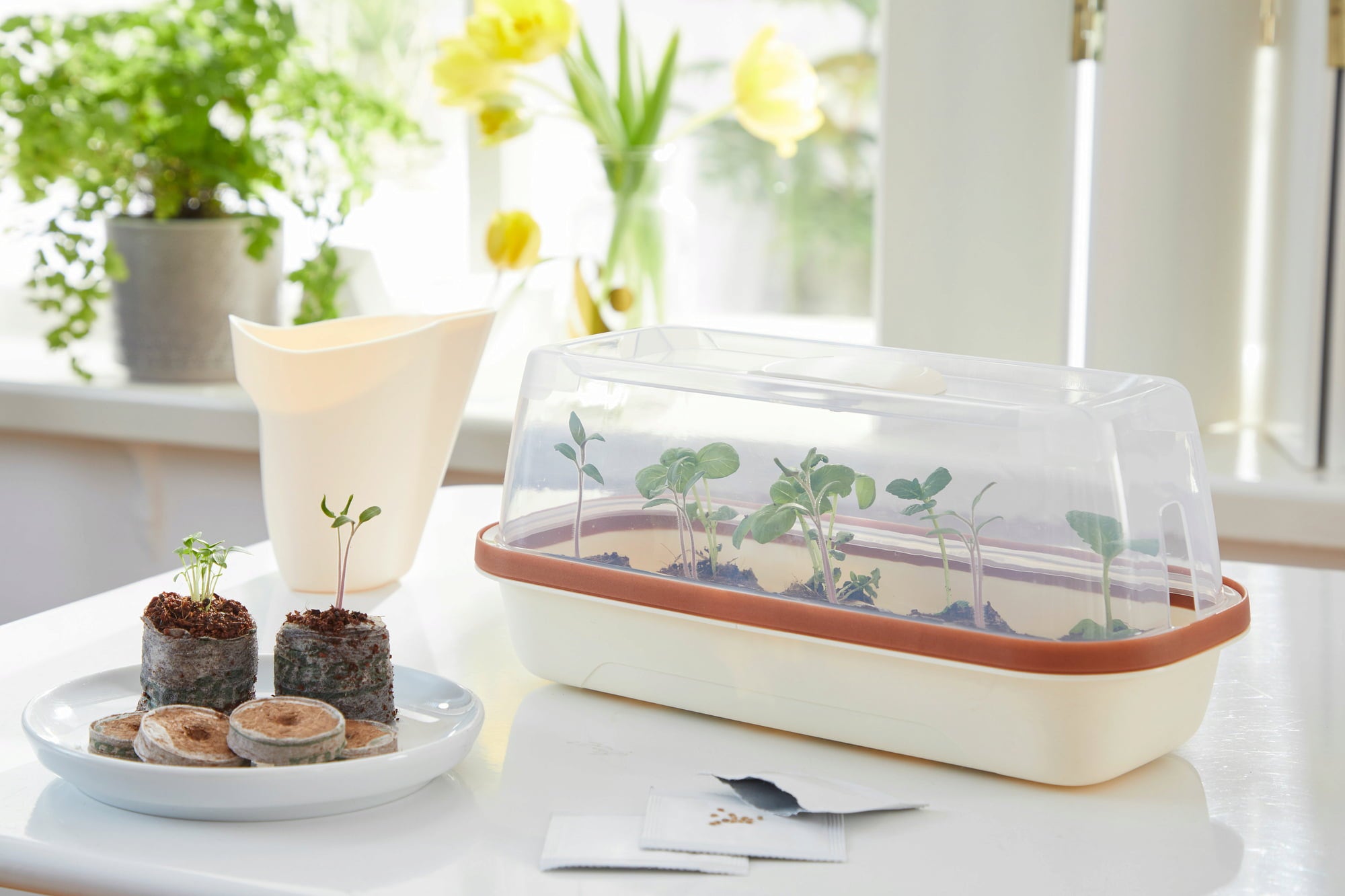 Romberg Terrine à Semis BOQUBE S | Crème-Cuivre - 1 pcs