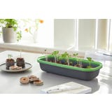 Romberg Tampa de Germina&ccedil;&atilde;o S BoQube Antracite