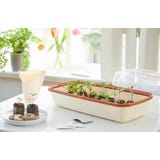 Romberg Bandeja de Cultivo M BOQUBE Creme-Cobre