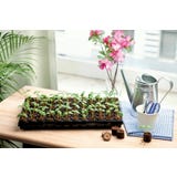 Bandeja Coco Plug com 77 Pastilhas de Coco