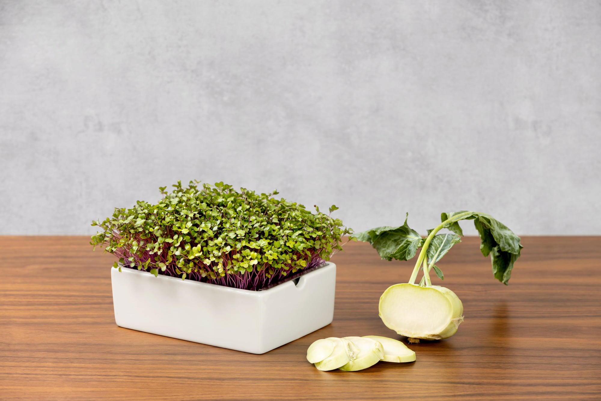 Heimgart Plaque de Semis Microgreens - Chou-rave - 1 pcs