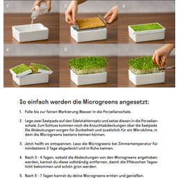 Heimgart Plaque de Semis Microgreens - Chou-rave - 1 pcs