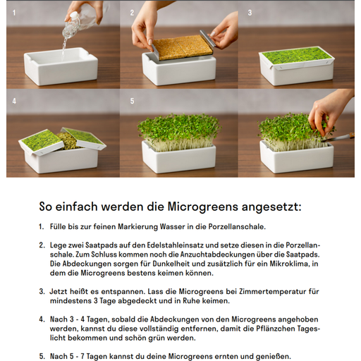 Heimgart Kohlrabi Rosa Microgreens Saatpad - 1 Stk.