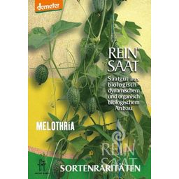ReinSaat Rare "Melothria"