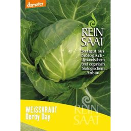 ReinSaat "Derby Day" White Cabbage