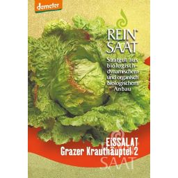 ReinSaat Grazer Krauthäupel 2 - 1 Pkg