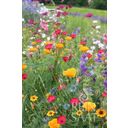 ReinSaat Summer Flower Mix ''Fairy Meadow'' - 1 Pkg