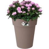 elho green basics top planter alto 35 cm