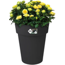 elho green basics Top Planter High 35 cm - Black