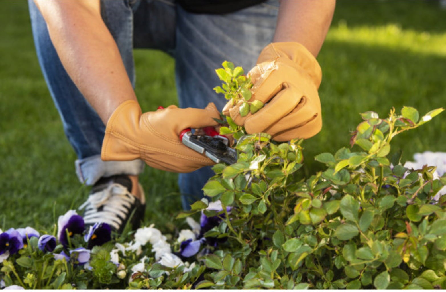 Gardening Gloves made of Puncture-Resistant Cowhide