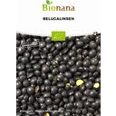 Bionana Organic Beluga Lentils - 1 Pkg