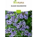 Bionana Organic Blue Woodruff - 1 Pkg