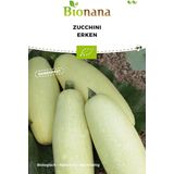 Bionana Calabacín ecológico - Erken