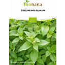 Bionana Bio Zitronenbasilikum - 1 Pkg