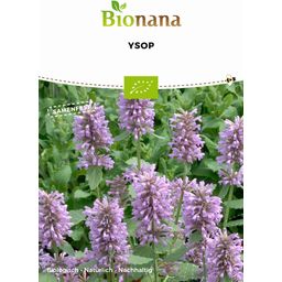 Bionana Hysope Bio - 1 sachet