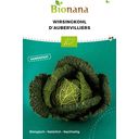 Bionana Bio Wirsingkohl „D'Aubervilliers“ - 1 Pkg