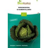 Bionana "D'Aubervilliers" Organic Savoy Cabbage