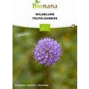 Bionana Biologische Wilde Bloemen - Blauwe Knoop - 1 Verpakking