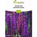 Bionana Organic Wildflower Steppe Sage - 1 Pkg