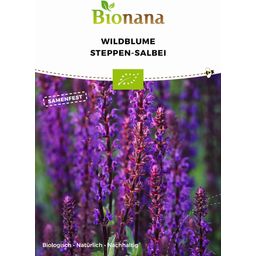 Bionana Fleur Sauvage Bio - Sauge des Bois - 1 sachet