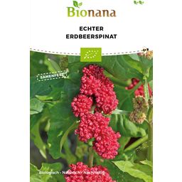Bionana Bio Echter Erdbeerspinat - 1 Pkg