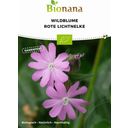 Bionana Red Campion Organic Wildflower - 1 Pkg